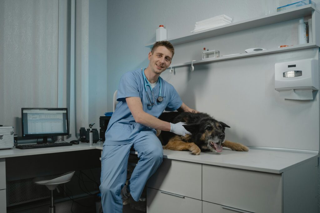 Allergy Testing For Pets