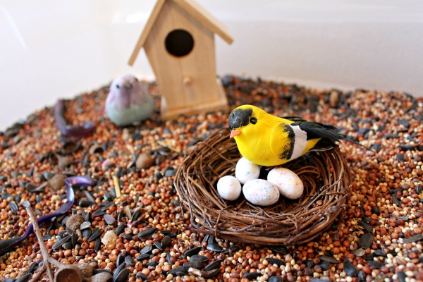BIRD CARE