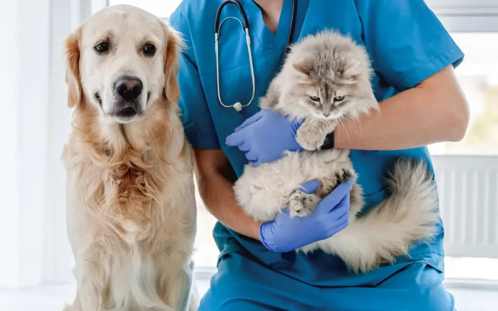 Preventative Care