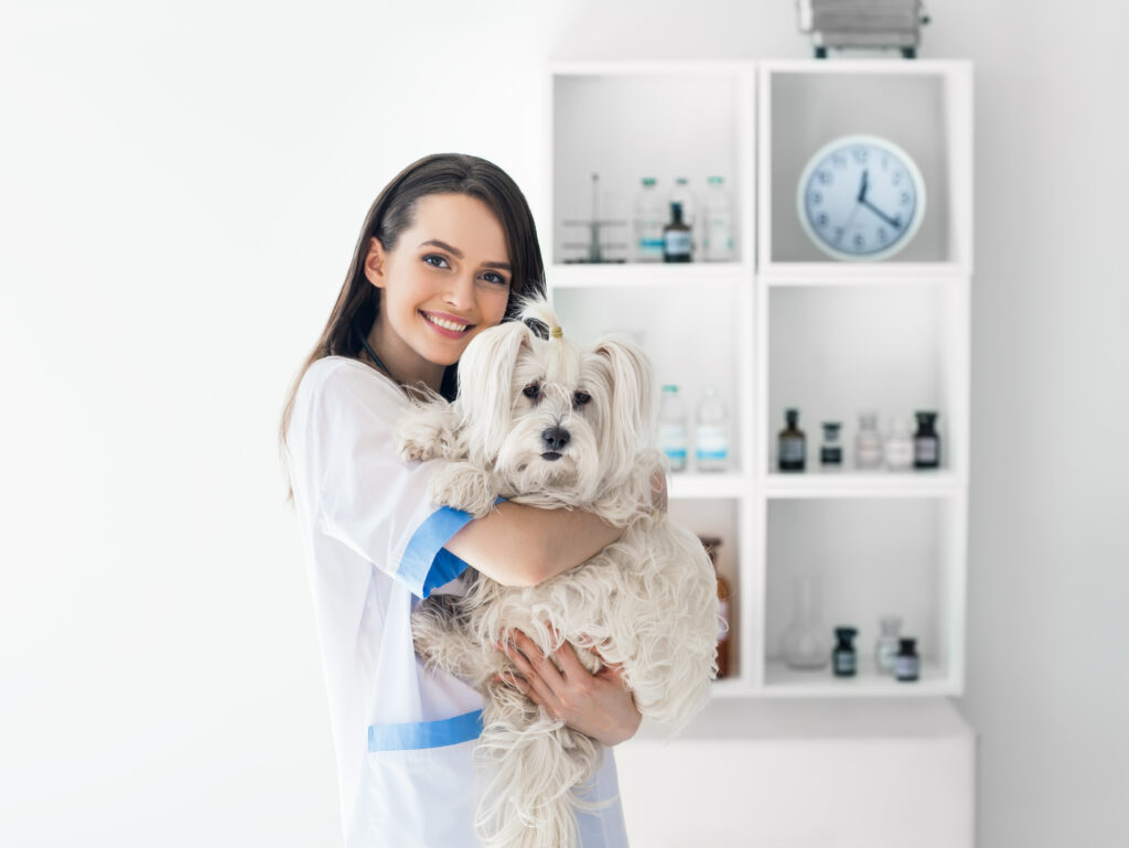 Pet Pharmacy