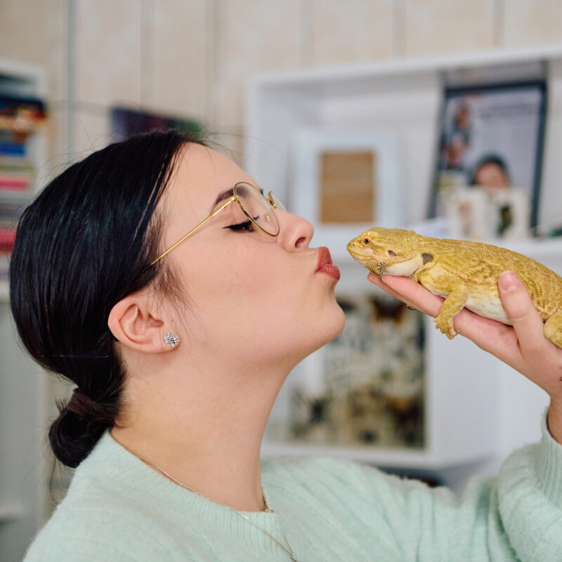 South West Animal Hospital