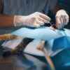 Pet Surgery