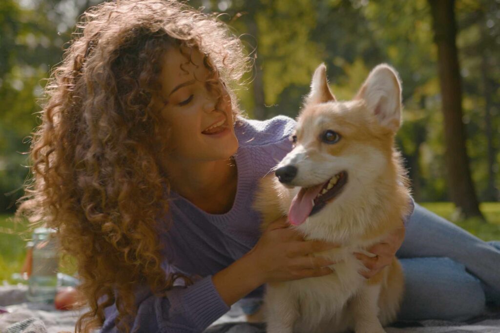 South West Animal Hospital