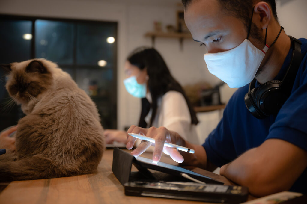 Pet Pain Management
