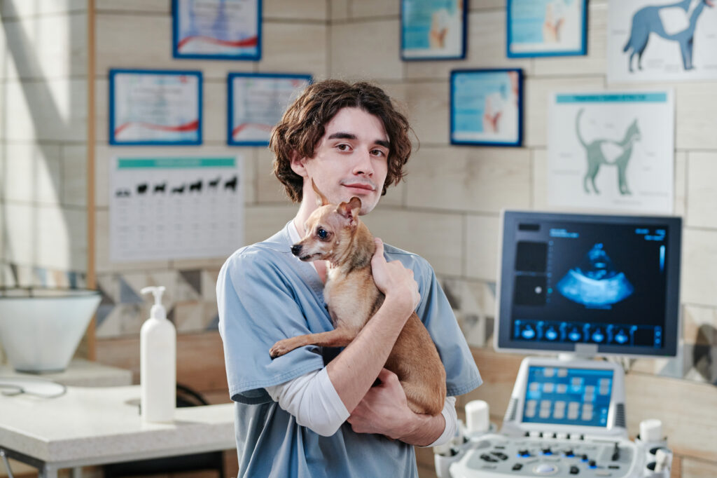 Radiology in Pets