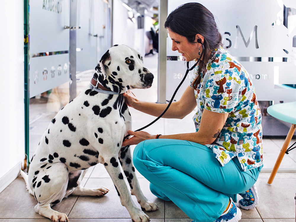 Pet Diagnostic