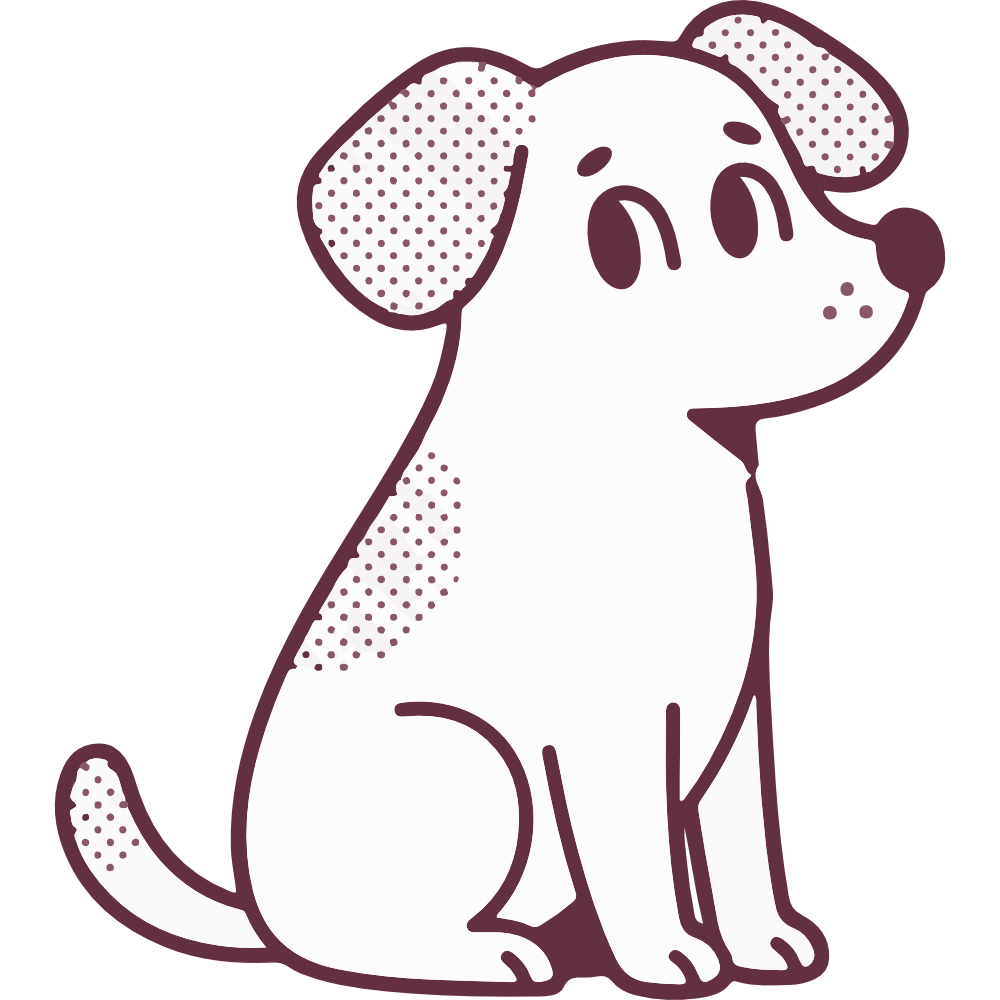South West Animal Hospital