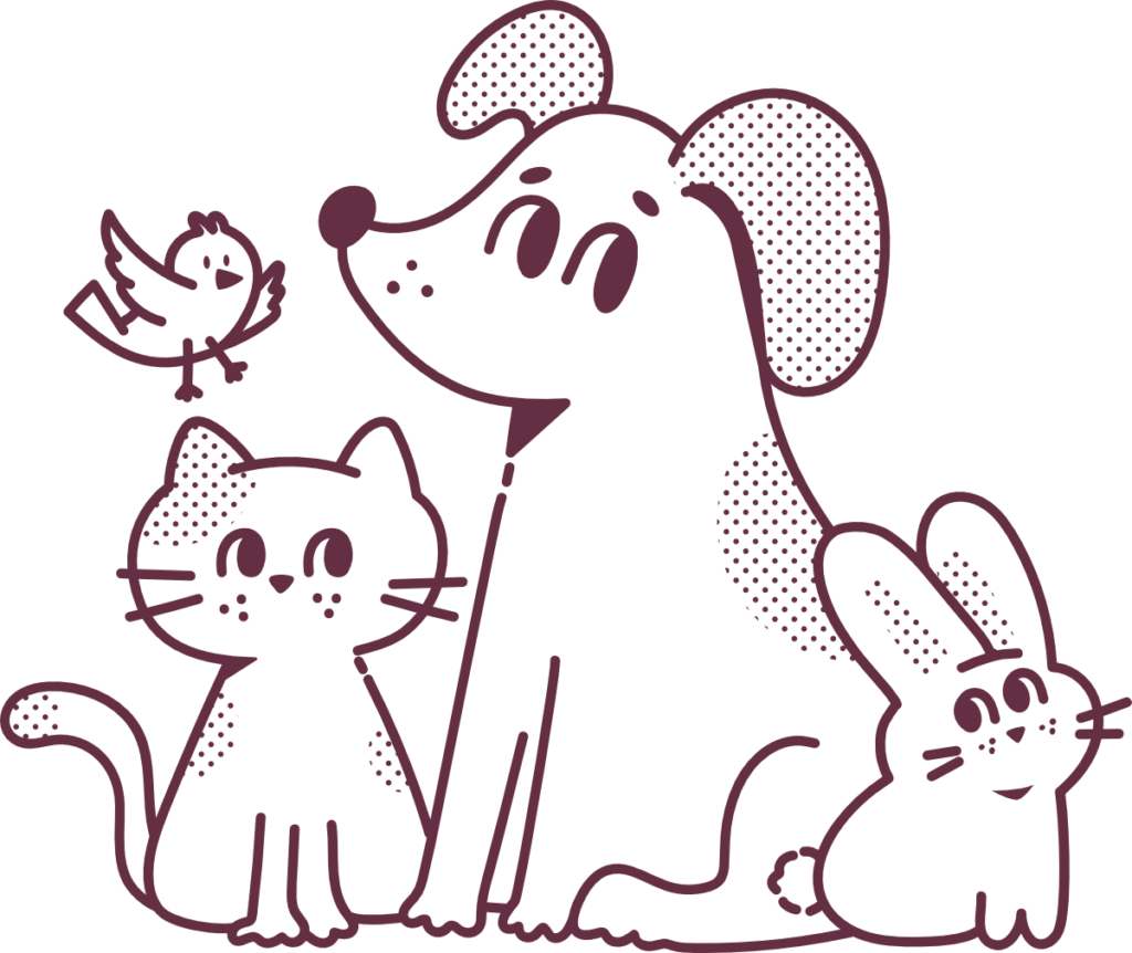 south west animal hospital