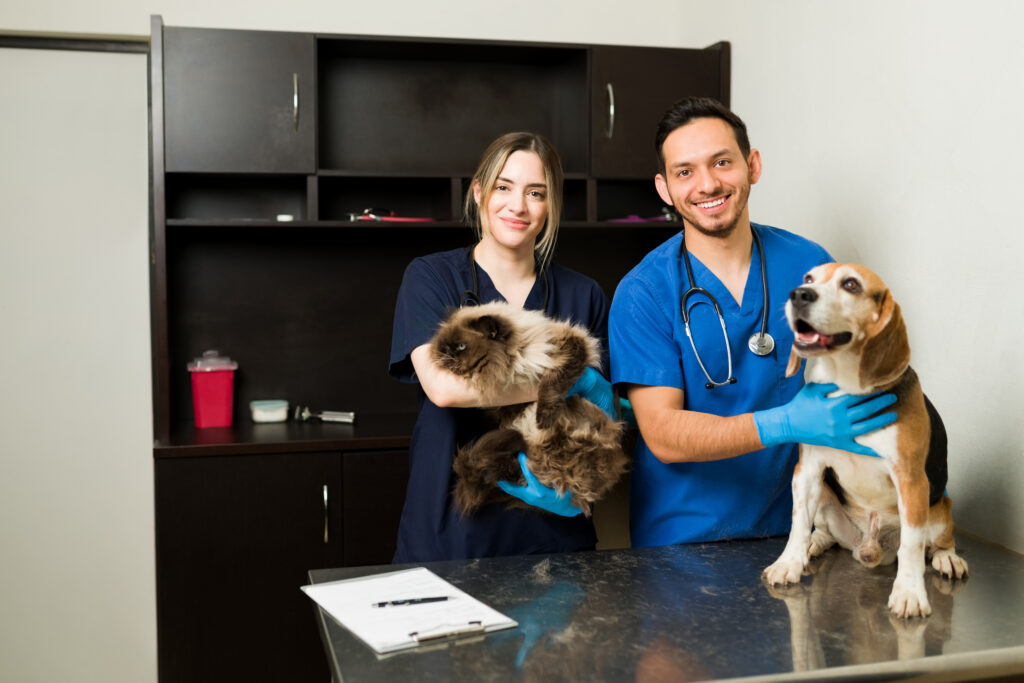 Pet Laser Therapy
