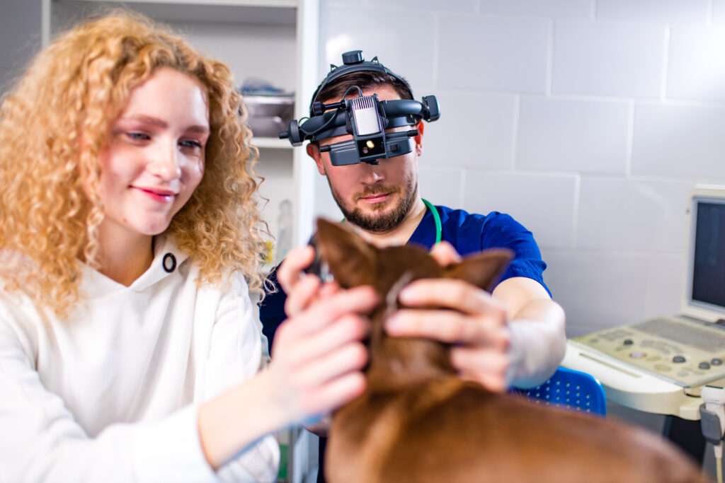 Pet Diagnostic