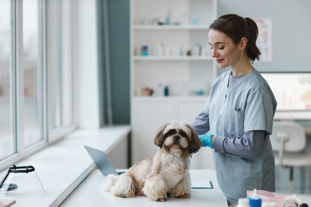 Pet Pharmacy